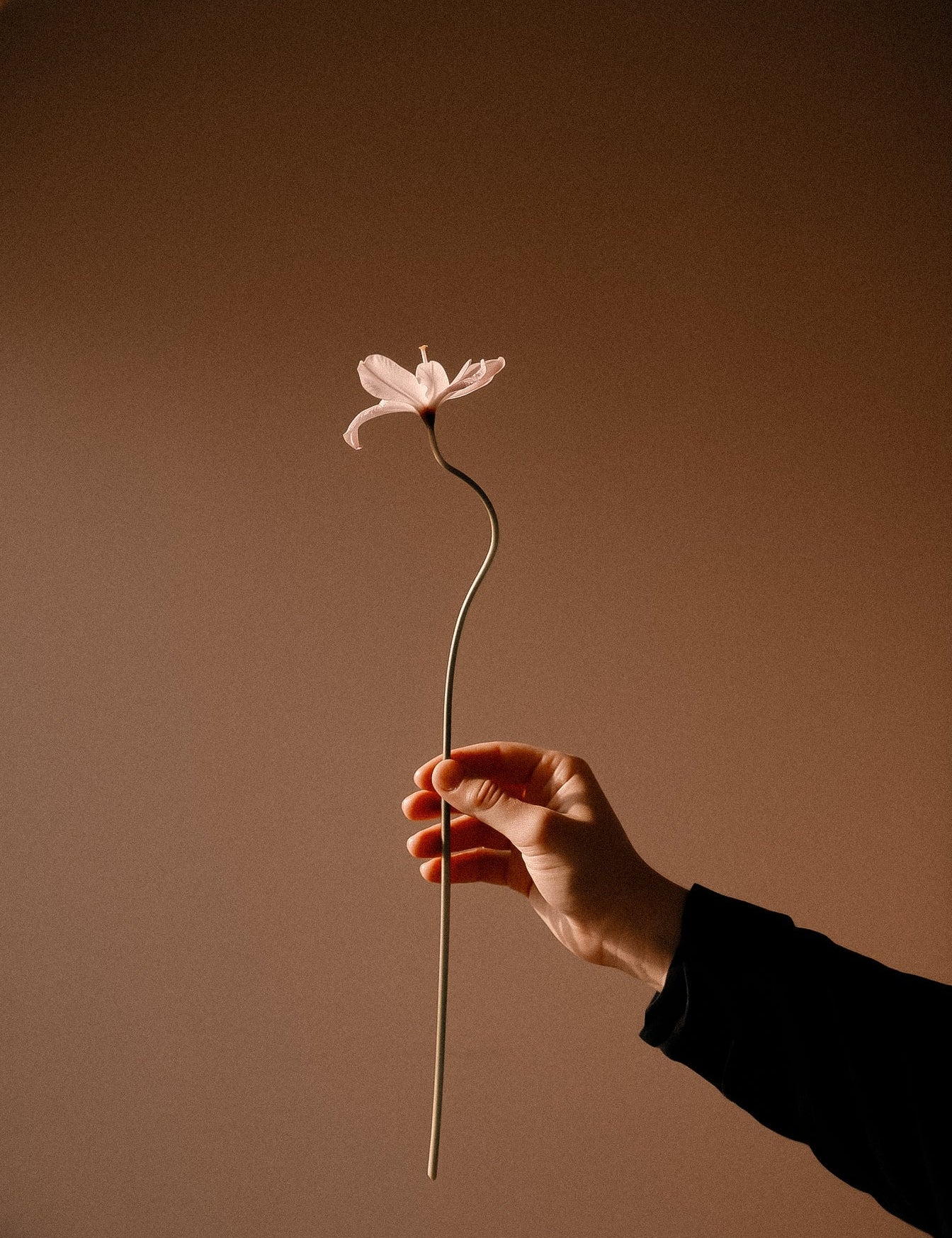 Frau hält Blüte 